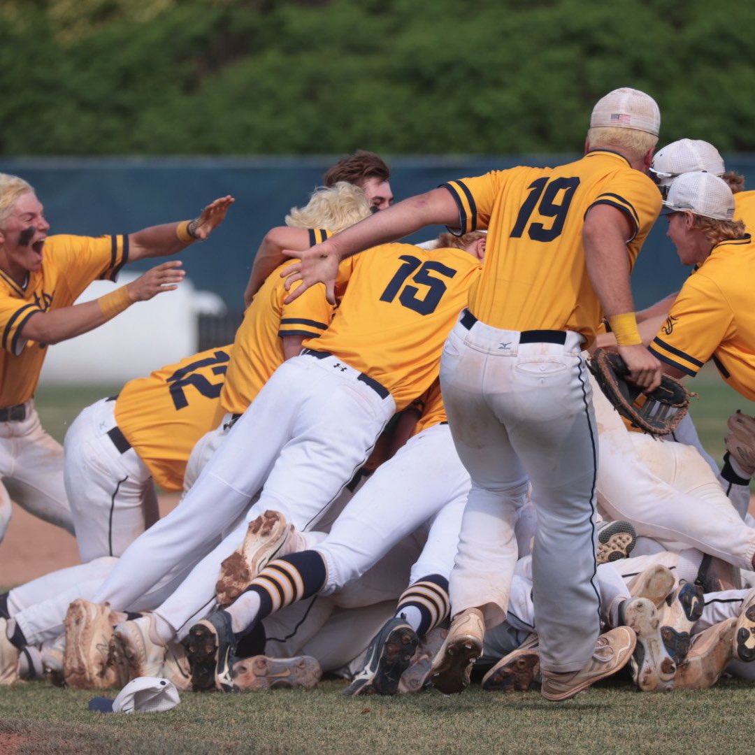 Hornet Baseball tweet media