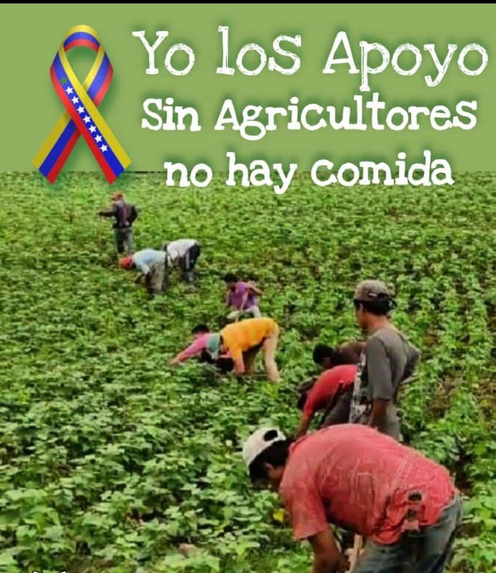 Fundavade's tweet image. Basta "YA" de MATRACA, el trabajo de ellos es nuestra garantía alimentaria..!!