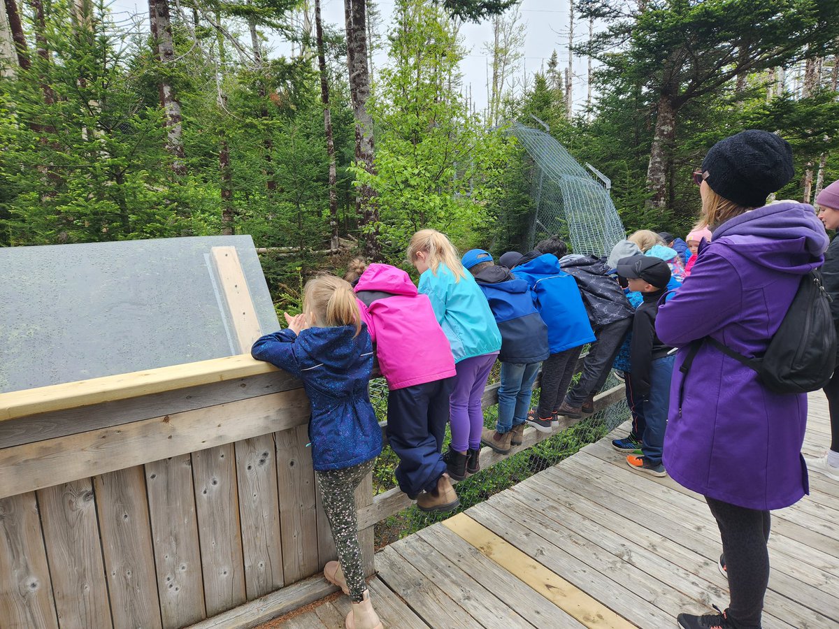 MsKinderNL's tweet photo. Such a fun day at Salmonier Nature Park! @AdmiralsAcad_NL https://t.co/oUhY3ZMIgp