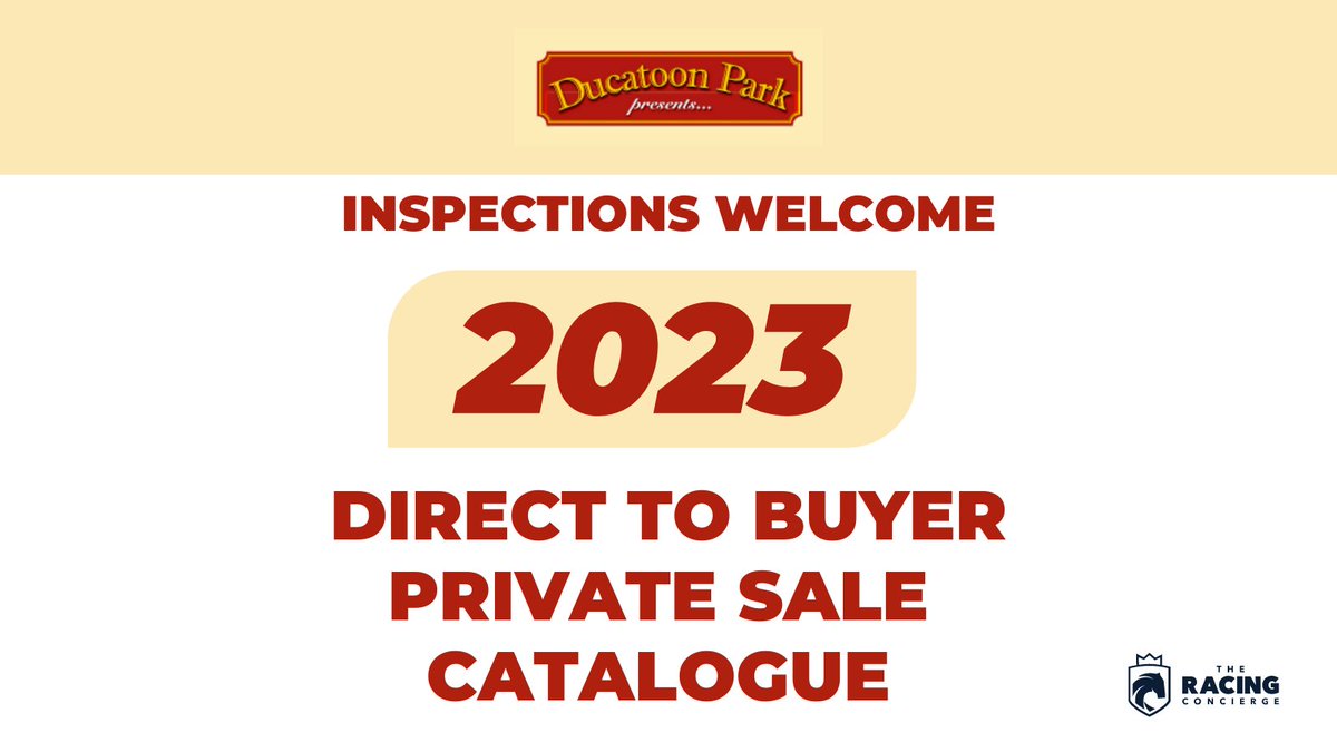 ducatoon's tweet photo. THOROUGHBRED SALE ON NOW

$2,000 - $10,000

BUY DIRECT FROM STUD

NO COMMISSIONS 

FULLY RACING REWARDS SA QUALIFIED

GENUINE OFFERS ACCEPTED  

🔟COLTS  
7⃣ FILLYS 
3⃣ 2yo &amp; 3yo
2⃣ WEANLINGS   

View photos / walks👇
https://t.co/iBqStVmNKz https://t.co/nfmEU782El