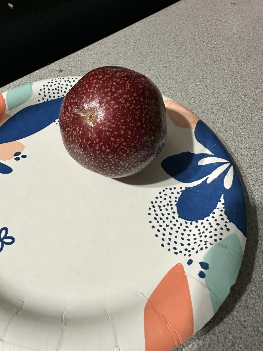 MoshJoody's tweet photo. Passionfruit review. 6.5. Weird to have a fruit just eat the seeds. Pretty sour, but overall decent. #fruitreviews #passionfruit https://t.co/5MYYzic1l3