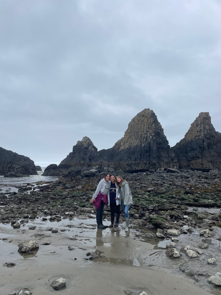 BrennaRothman's tweet photo. Took some of my best friends tidepooling, and one had NEVER seen a real sea star before! 
Safe to say I had to change that, and they loved every minute of it! 
Plus, a good Halosaccion squish is something everyone needs to experience at least once. https://t.co/E1tb4ks6WG