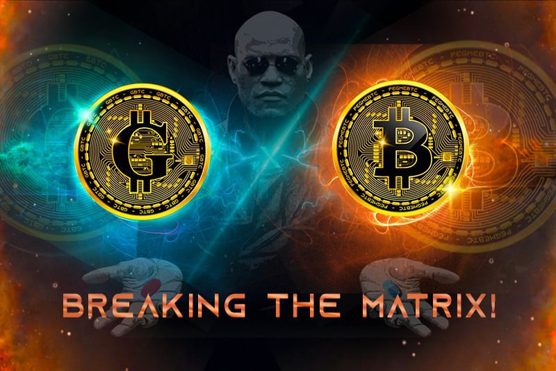 <a href="/ProTheDoge/">SlumDOGE Millionaire</a> Ya it's a great meme on pulsechain   next to <a href="/pegmebtc_prc20/">pegmebtc</a>  $pmbtc