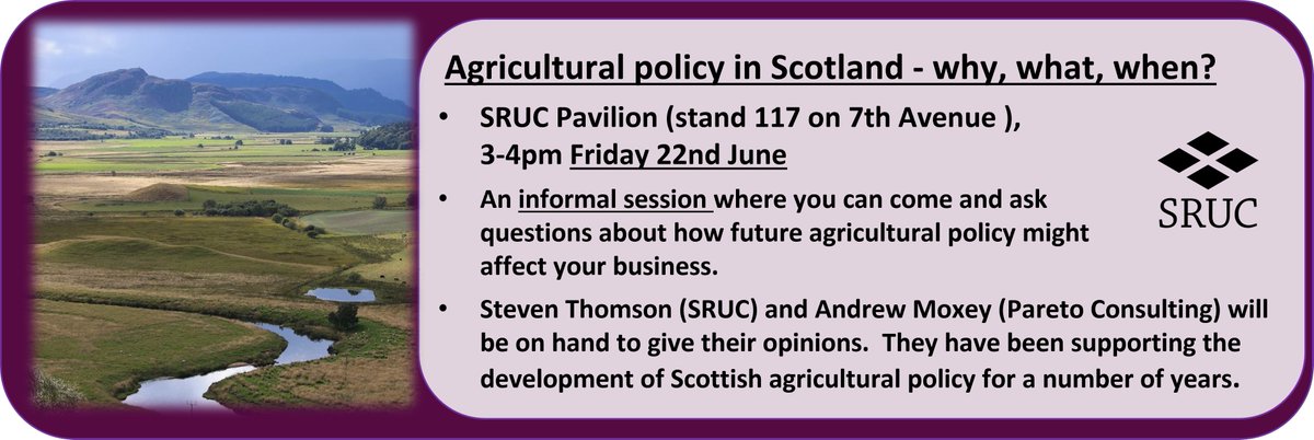 Steven Thomson tweet media