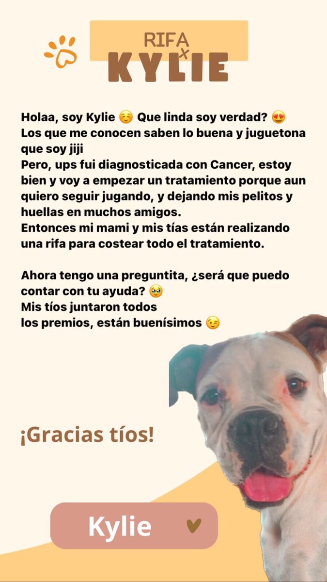 AimeSantander1's tweet photo. Holaa! 🥹 El amor de mi vida les quiere dejar un mensajito; https://t.co/sIvgsAzLfx
