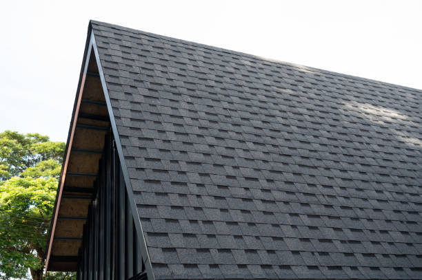 In need of a reliable roofing specialist in Lincoln, NE? Sandhill Roofing is here to solve any roofing problems. Trust our experienced team for top-quality artistry and exceptional service. #roofingspecialist

Contact us today for a free quote! bit.ly/3zSAC80