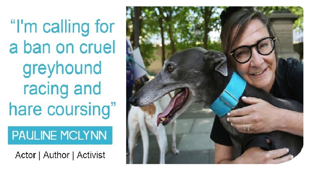 'I'm calling for a ban on cruel greyhound racing and hare coursing' - Actor/Author/Activist @PaulineMcLynn1 | Please sign the petition change.org/p/ban-blood-sp… and urge @LeoVaradkar @MichealMartinTD @EamonRyan @DarraghOBrienTD to #BanHareCoursing #BanGreyhoundRacing