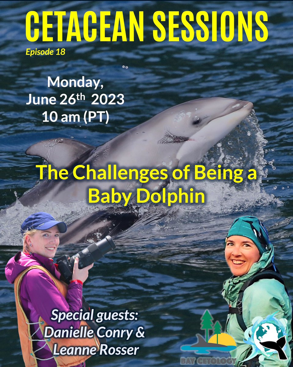 Join us on June 26th, 2023, at 10 am (Pacific Time) for the season finale of Cetacean Sessions: The Challenges of Being a Baby Dolphin, with two special guests: @konnichiwadolph and Danielle Conry from @BayCetology #wimms ➡️ crowdcast.io/c/cetacean-ses…