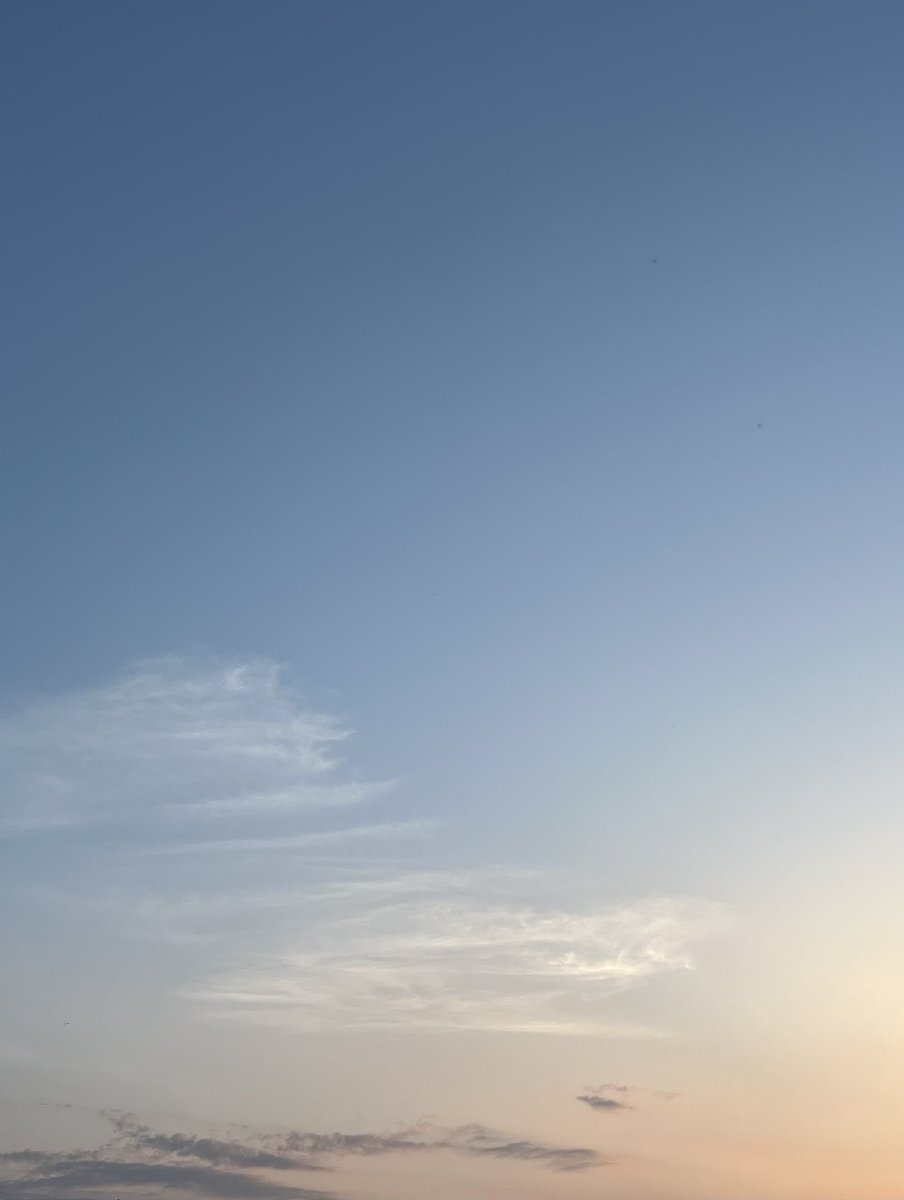 ここ最近はお天気が良くて、ちょっと涼しくなってからお散歩するのが気持ちいいです〜〜🫧