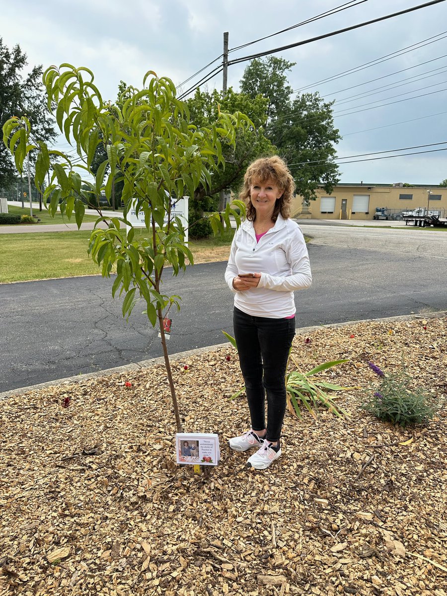 Angelspaws's tweet photo. Our team surprised Helen R., with a tree in memory of her dog (and our coworker) Peach... appropriately, a PEACH TREE! #foreverinourhearts ❤🐾🌈 https://t.co/fioA7EOU1t