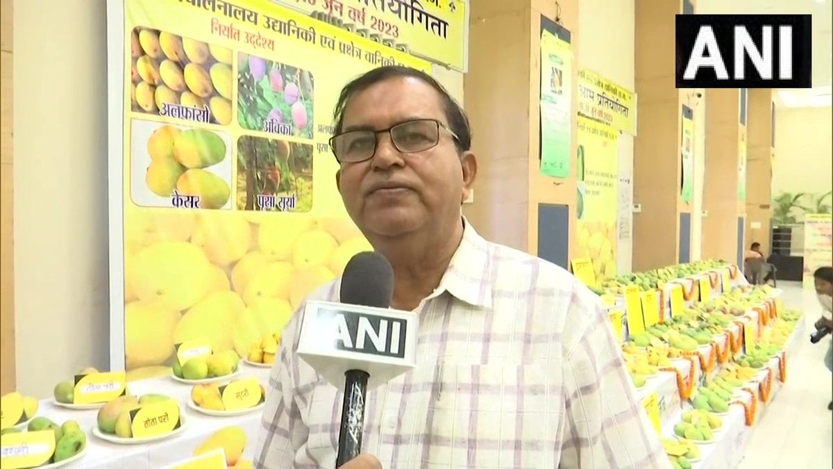 ANI MP/CG/Rajasthan on Twitter "Chhattisgarh Japan's famous mango 'Miyazaki' was displayed at