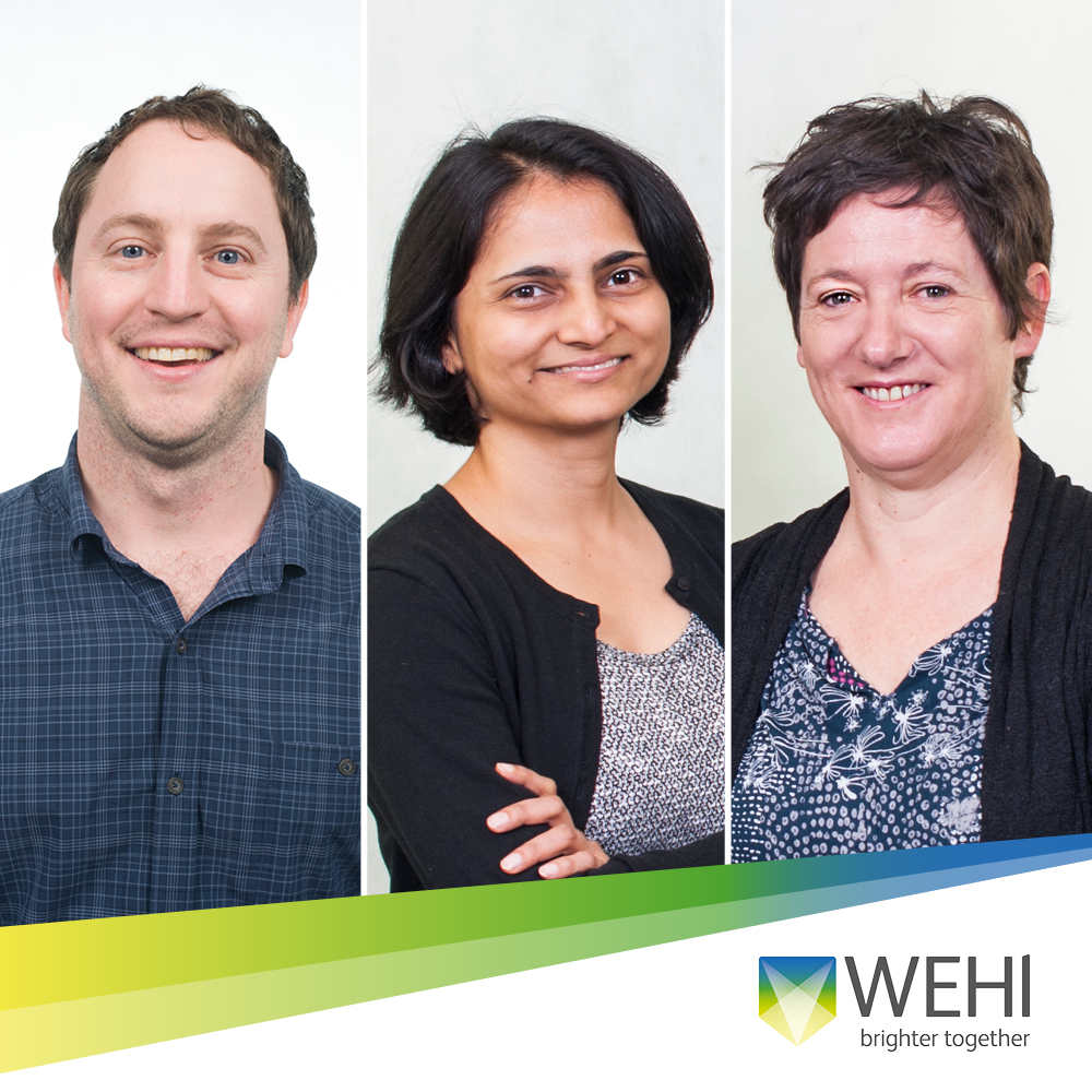 WEHI (Walter and Eliza Hall Institute) (@wehi_research) on Twitter photo Researchers uncover crucial interactions between PEAK pseudokinases & key signalling proteins controlling cell migration – a crucial step towards identifying new cancer therapeutics. Published in <a href="/NatureComms/">Nature Communications</a>. <a href="/WEHI_research/">WEHI (Walter and Eliza Hall Institute)</a> <a href="/Isa_Lucet/">Isa Lucet</a> <a href="/dr_mroy/">Michael Roy</a> <a href="/dr_opatel/">Dr Onisha Patel</a>.
nature.com/articles/s4146… Researchers uncover crucial interactions between PEAK pseudokinases & key signalling proteins controlling cell migration – a crucial step towards identifying new cancer therapeutics. Published in <a href="/NatureComms/">Nature Communications</a>. <a href="/WEHI_research/">WEHI (Walter and Eliza Hall Institute)</a> <a href="/Isa_Lucet/">Isa Lucet</a> <a href="/dr_mroy/">Michael Roy</a> <a href="/dr_opatel/">Dr Onisha Patel</a>.
nature.com/articles/s4146…