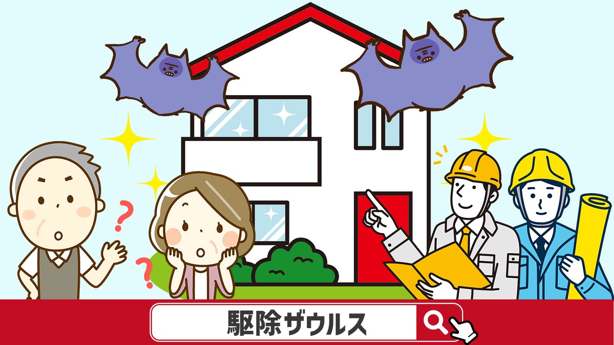 aaa_alliance's tweet photo. #害獣トラブルあるある
+‥‥‥‥‥‥+
　　　　　コ
　　　新　ウ
　な　築　モ
　ん　な　リ
　で　の　だ
　だ　に
　ろ　　　　
+‥‥‥‥‥‥+

#コウモリ駆除
#コウモリ被害
#コウモリ対策
へぇ～と思ったらいいね💙 https://t.co/fewqyY4end