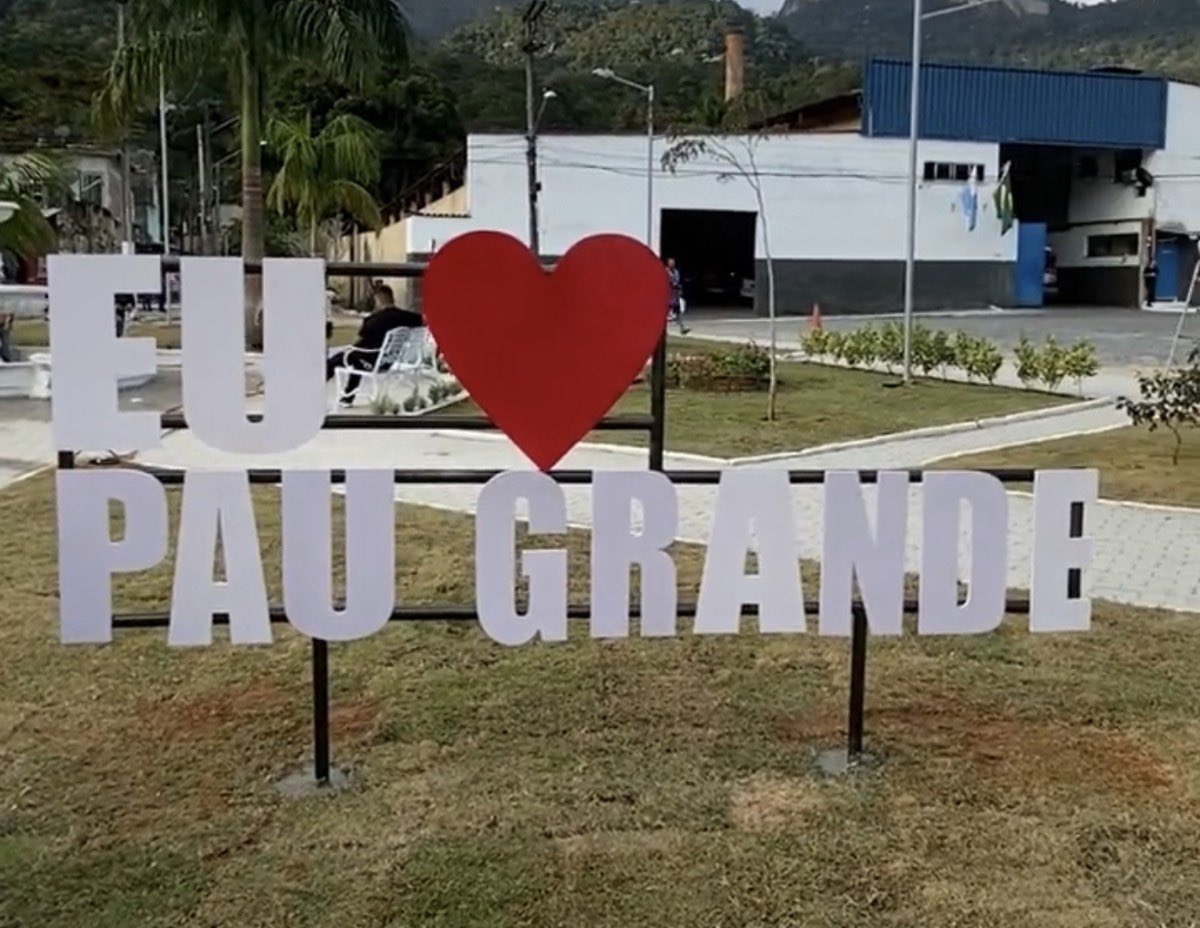 Pau grande