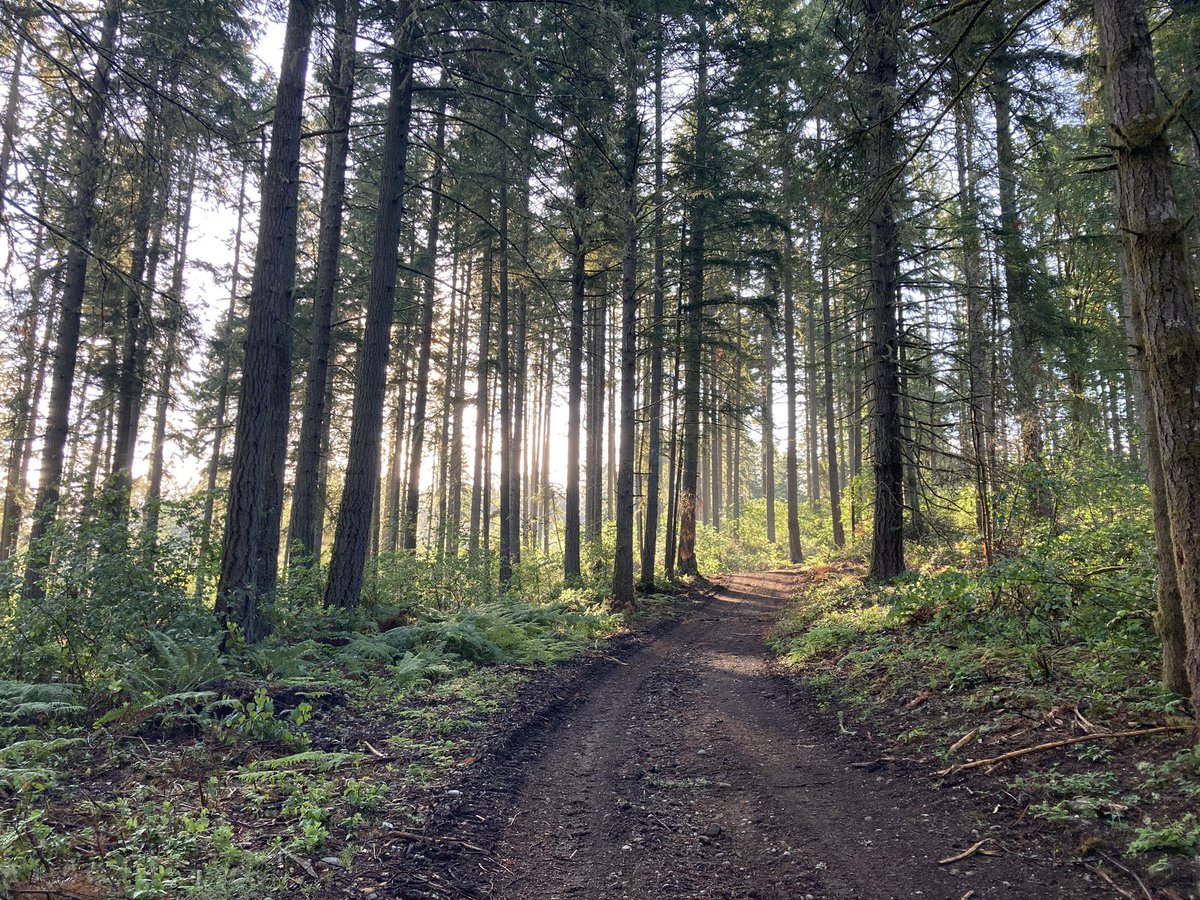 There is nothing better than a little time in the woods. I miss this trail.