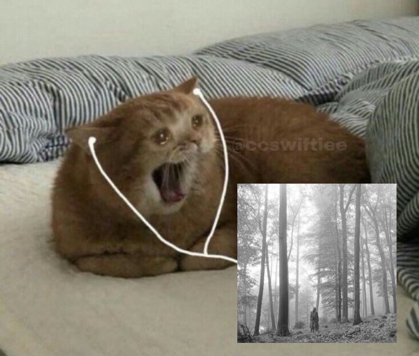 ccswiftiee's tweet image. cual es la lyric mas dolorosa de taylor swift y por qué TO KISS IN CARS AND DOWNTOWN BARS WAS ALL WE NEEDED, YOU DREW STARS AROUND MY SCARS BUT NOW IM BLEEDING