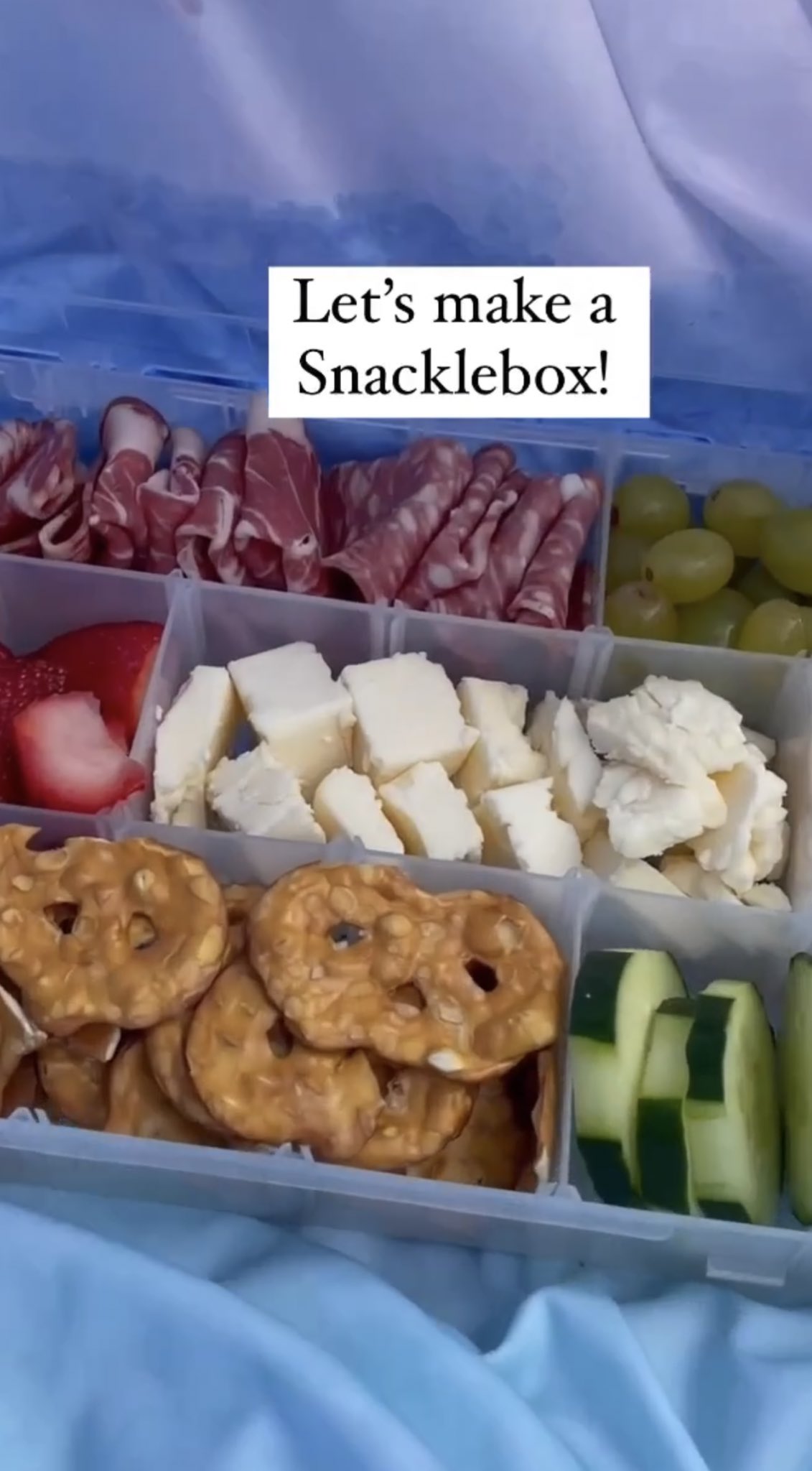 Raven Brunner on X: The snackle box trend makes me want to scream because  these containers aren't made with food grade plastic   / X