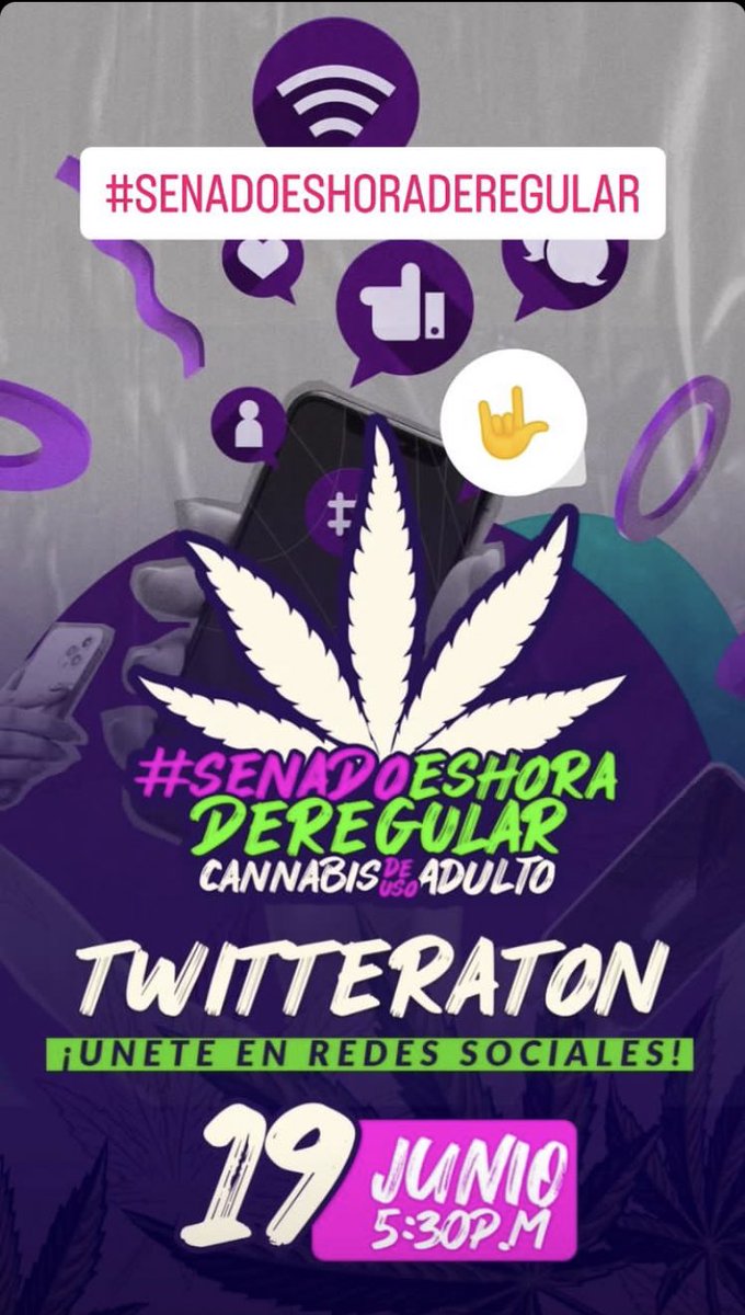 JoxisR's tweet photo. #senadoeshoraderegular https://t.co/grianZwLUG