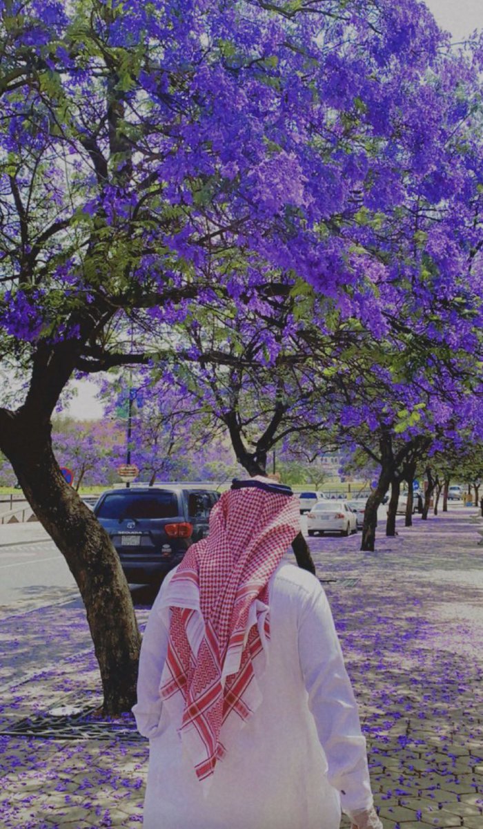 m_14ee's tweet photo. "أحسنتَ تربيتي ، رعيتَ مشاعري
وجعلتني في بيتِ قلبِكَ مُكْرَمَةْ
وصنعتَ منِّي طفلةً ما إنْ تُرى
حتَّى يُقالُ : لوالدٍ ما أكرمَه
إنَّ ارتباطَ اسمي بإسمِكَ نعمةٌ
اللهُ أولاها لأشْكُرَ أنعُمَه
إن كنتَ تعلمُ يا كريمُ محبَّتي
فعظيمُها لاينجلي، كي تعلَمَه"

- أبي 🤍 https://t.co/jrYFBJBfKA