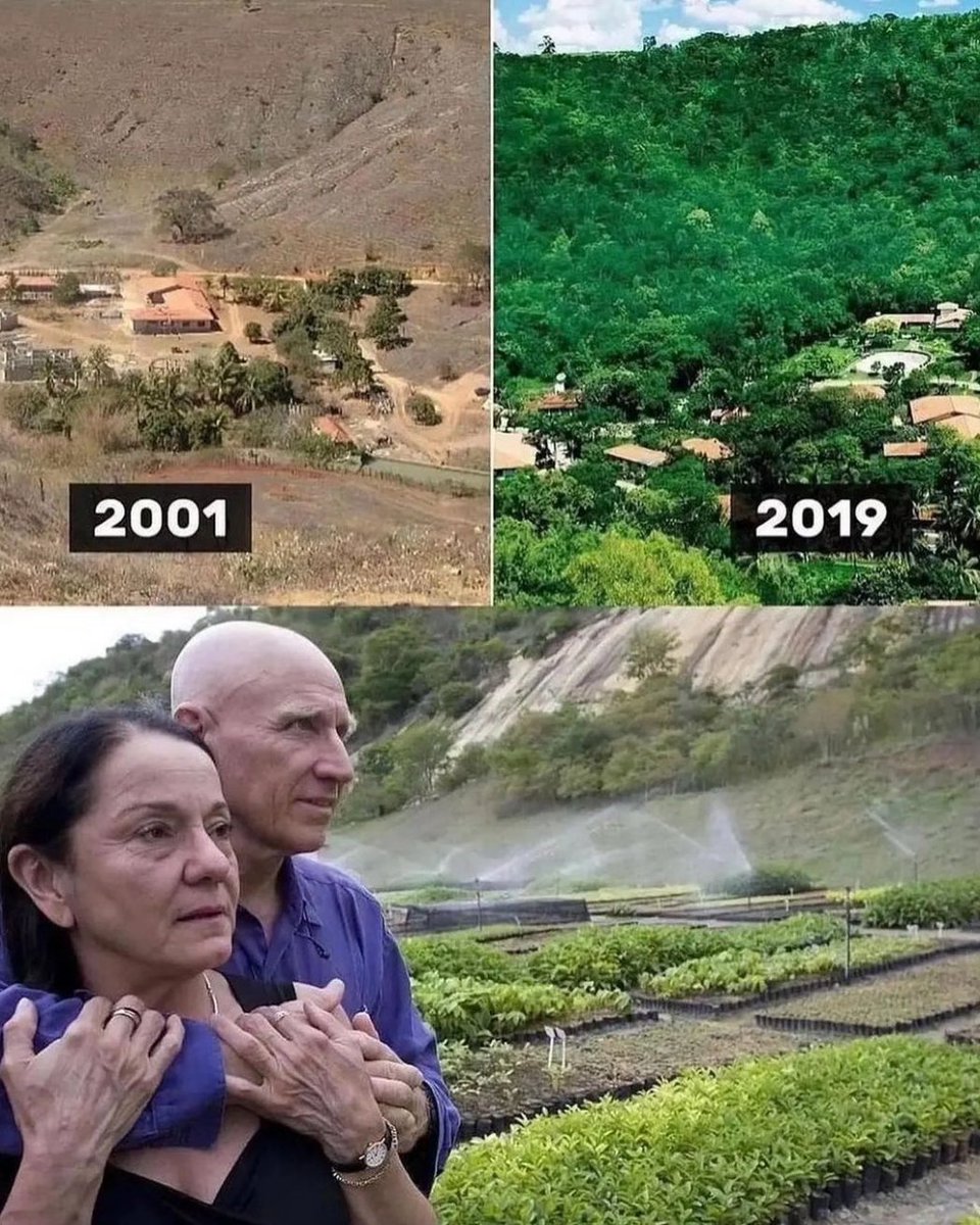 arboles_magicos's tweet photo. Un fotógrafo y su esposa plantaron 2 millones de árboles durante 20 años, restaurando con éxito un bosque destruido en Brasil.🌳🌿
Este increíble esfuerzo no solo devolvió la vida al bosque, sino que también provocó el regreso de numerosos animales, creando un ecosistema próspero.💚

#fotografo #arbol #brasil #animales #ecosistema #exito #prospero #amor 
Credit to  @soypvrpose