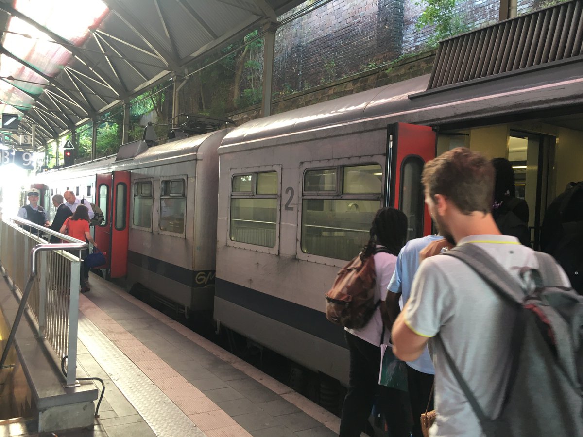 Will Petty 🌳🌳 tweet media