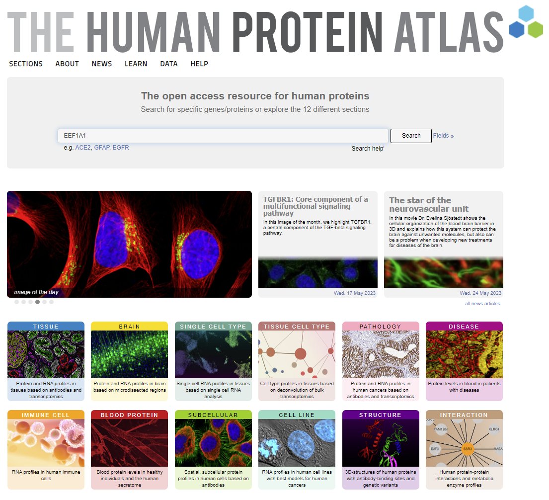 Version 23 of the Human Protein Atlas is released including an updated genome assembly, a new Interaction section with data for human protein-protein interaction networks, and lots of other updates. 

Read more
proteinatlas.org/news/2023-06-1…
