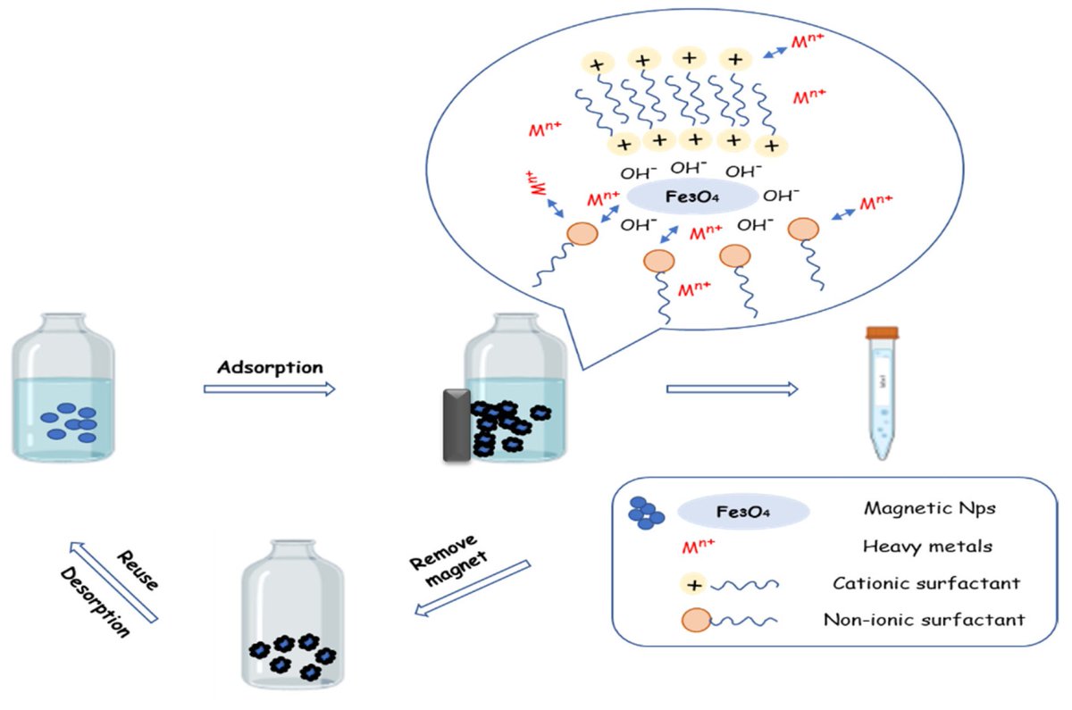 Materials_mdpi's tweet image. 💖 #HighlyCited

👉 Title: Heavy Metal Adsorption Using Magnetic Nanoparticles for Water Purification: A Critical Review 

📝 Authored by Christos Liosis et al.

🔗 mdpi.com/1996-1944/14/2…

#adsorption; #contamination; #magnetic #nanoparticles; #heavy #metals