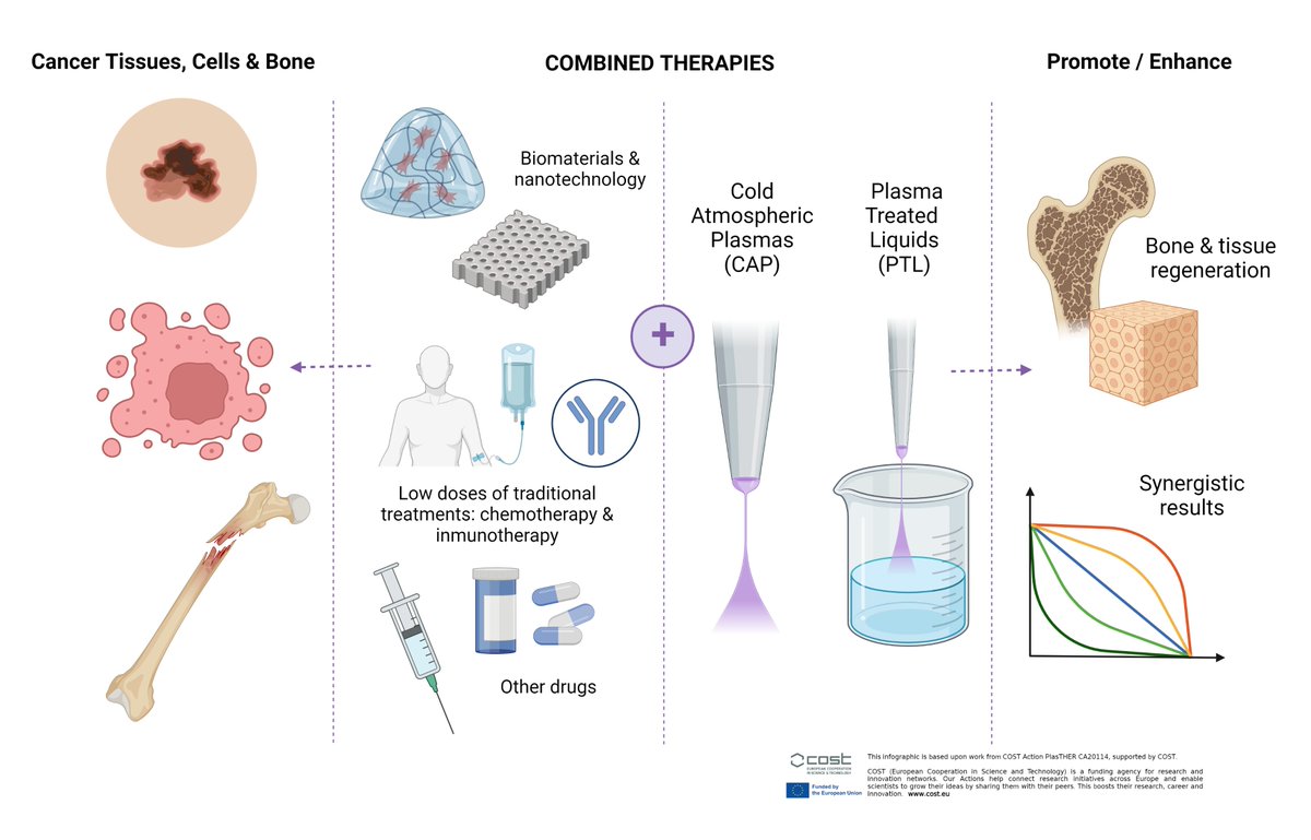 WG5 focuses on the study of combined therapies with plasma for tissue regeneration, skin treatment, wound healing and cancer treatment, when the use of plasma alone may not be sufficient to achieve full patient recovery. @COSTprogramme @UPCdivulga @COST_Academy @MSCActions