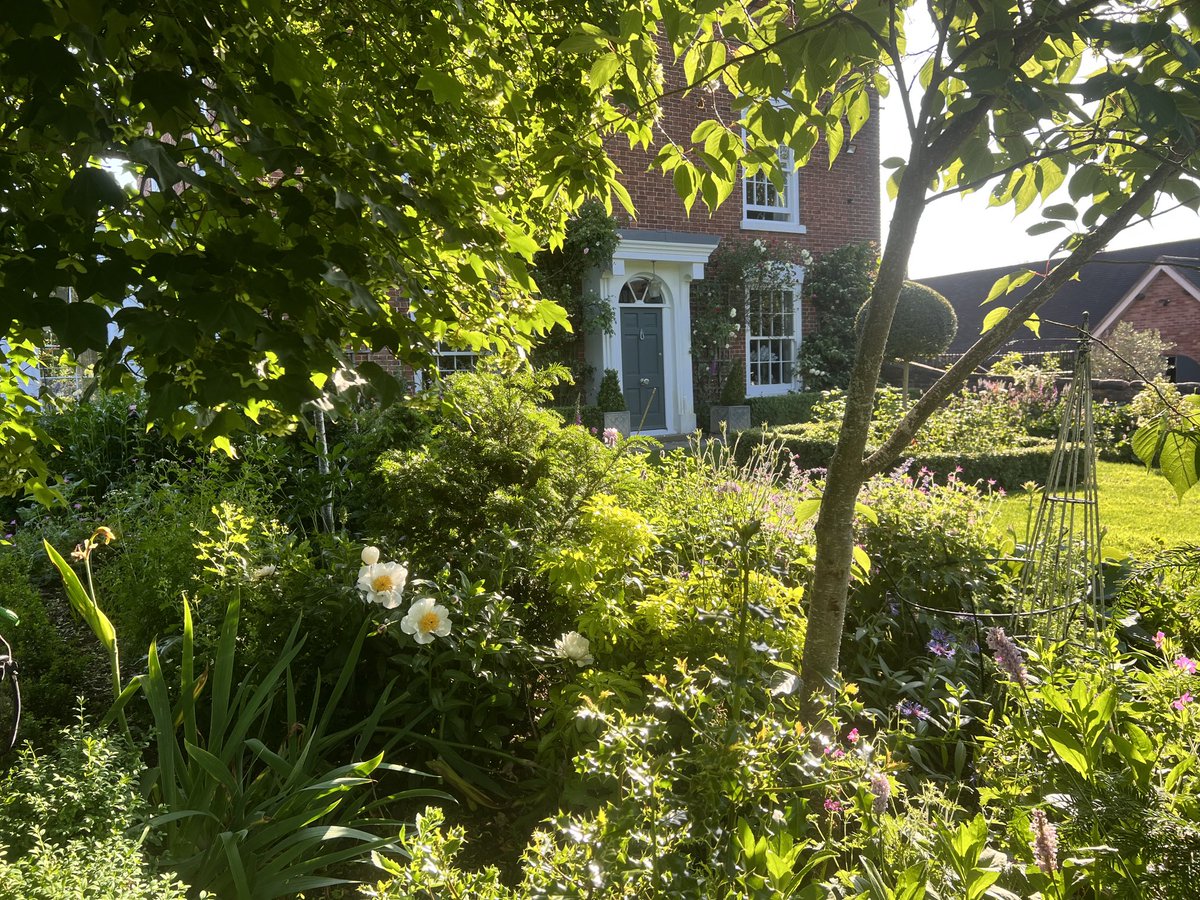 GardenerFliss's tweet image. I wonder if one day my house might disappear under all the plants I keep stuffing in 😂#gardensoftwitter ⁦@_houseandgarden⁩ ⁦@GWandShows⁩ ⁦@BunnyGuinness1