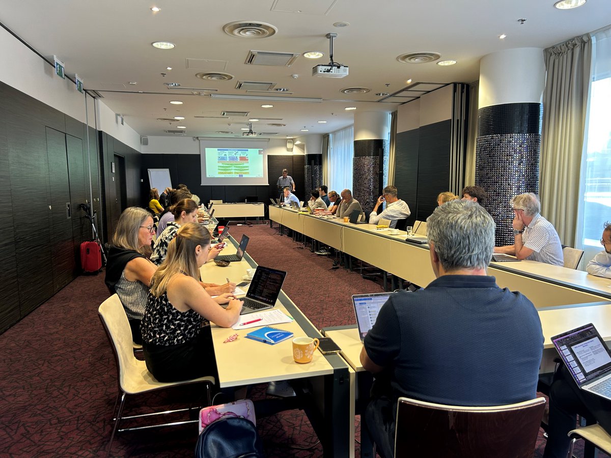 🧠📍🇪🇪  Exciting day as all partners gather in beautiful Tallinn for the REALMENT consortium meeting! 

This project is shaping the future of psychiatry through #personalisedmedicine, leveraging #AI and #MachineLearning tools to unlock the potential of Real-World Data.