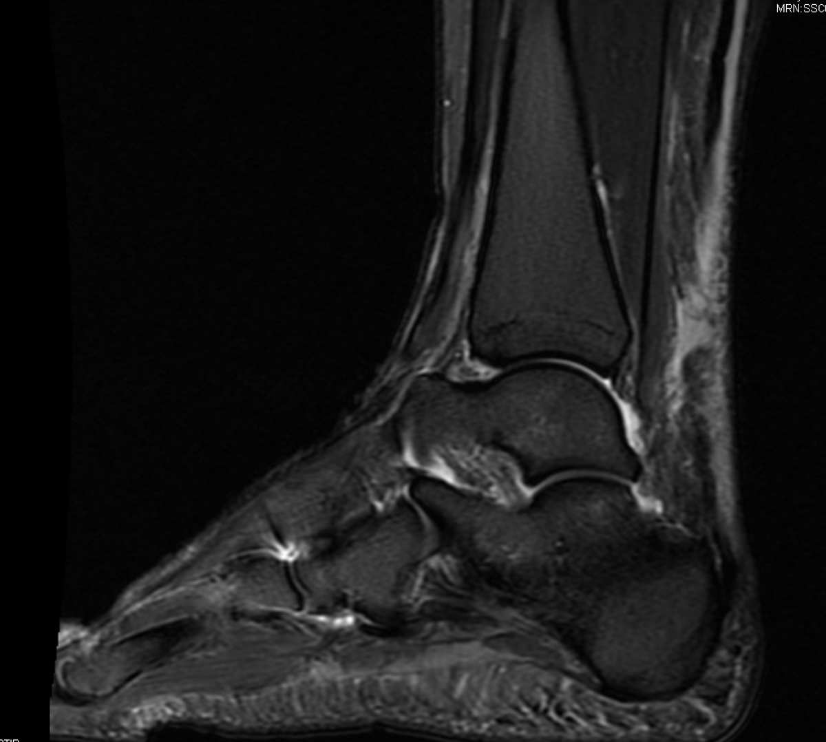 Colin Griffin tweet media