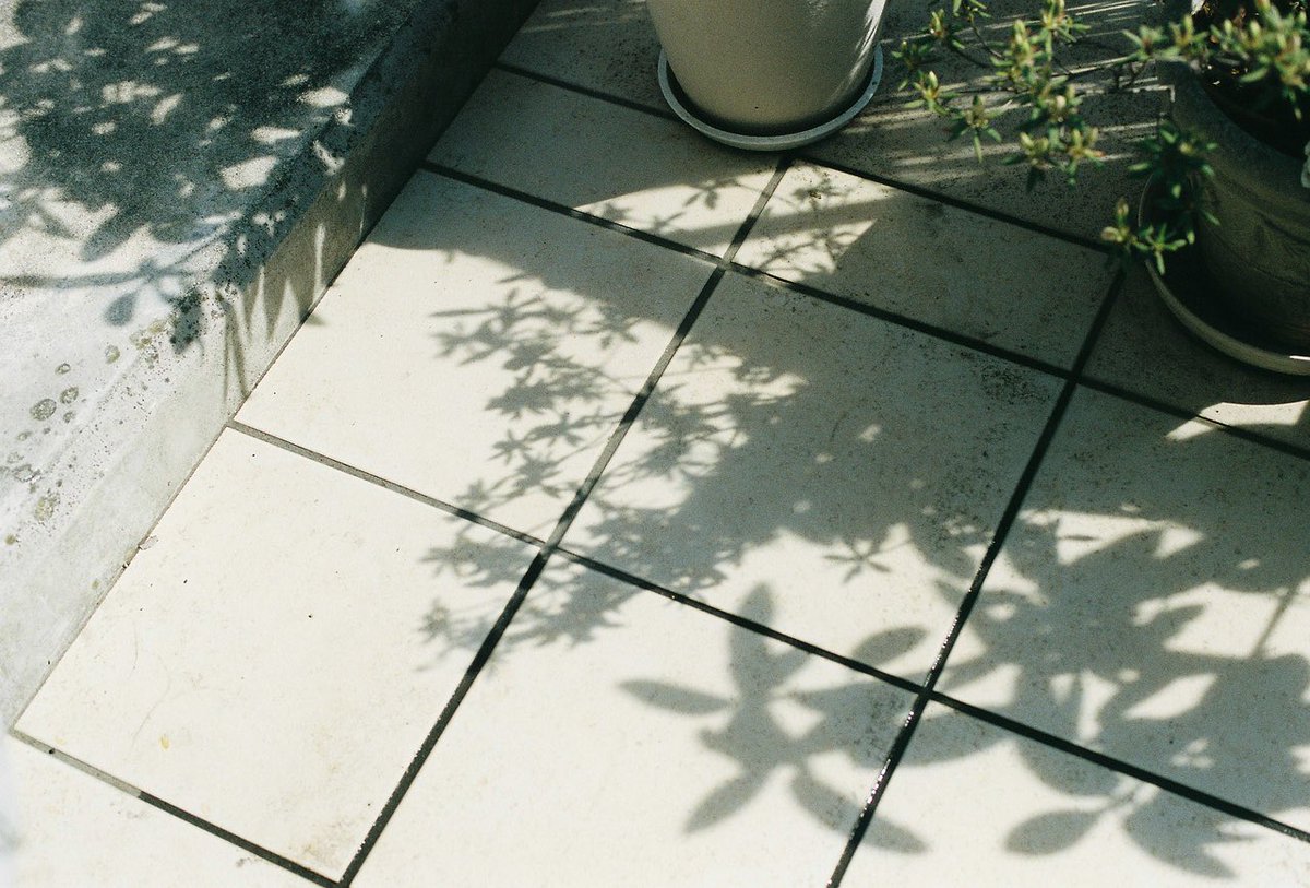 uramisan's tweet photo. わたしがフィルムをやめないのは、まだフィルムがあるから。撮る行為も待つ時間も、フィルムが高いと思い悩むことさえも楽しみの内に入れて、写真ということばの周りをただよい続けている。 https://t.co/KTiAn713lK