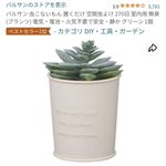 この夏、虫が増える前に買い揃えたい『この虫対策商品マジでおすすめ選手権』