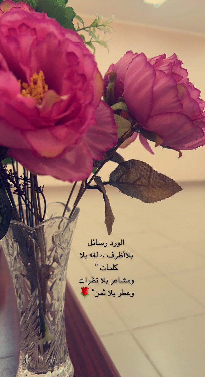 ilitev1's tweet photo. الورد رسائل بلاأظرف ،، لغه بلا كلمات "
ومشاعر بلا نظرات وعطر بلا ثمن"🌹
              صباح الخير https://t.co/VL4HPQszrc