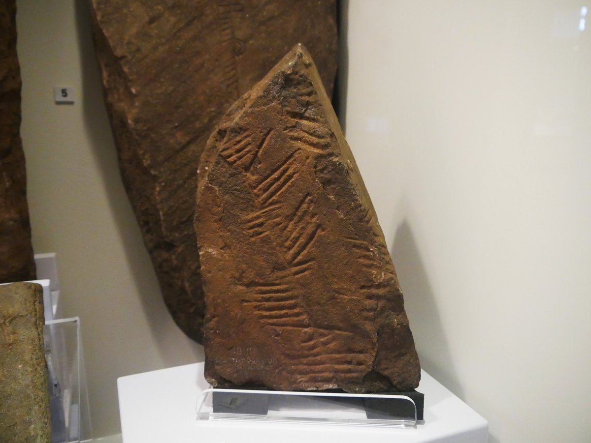#EpigraphyTuesday with these #Ogham stones at the Shetland Museum & Archives
 ~c6