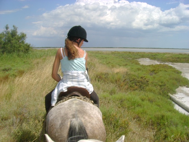 Camargue