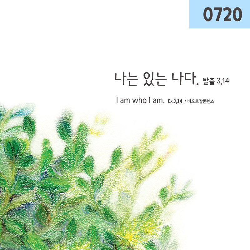 fsp_Corea's tweet photo. https://t.co/dTVzwACLO6