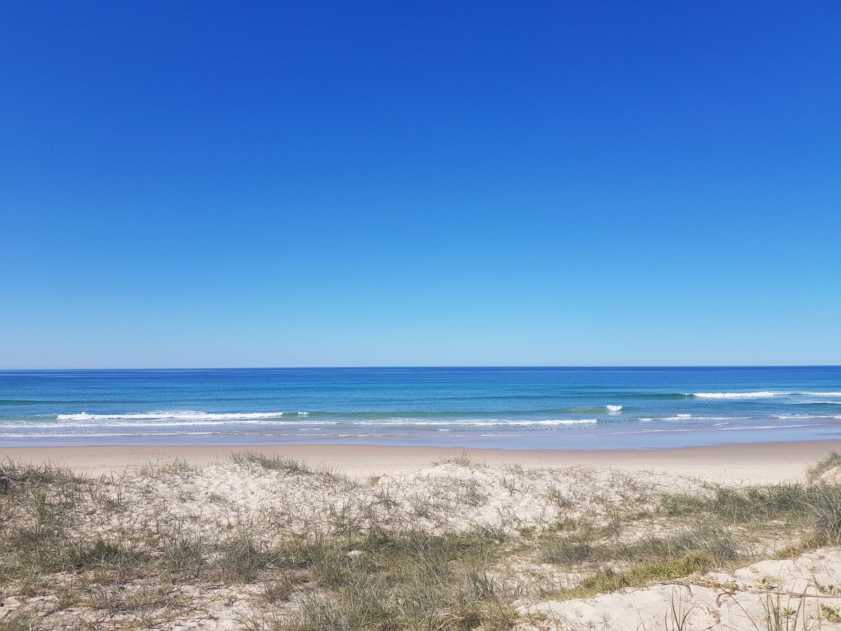 Midgimm's tweet image. The days have been splendid