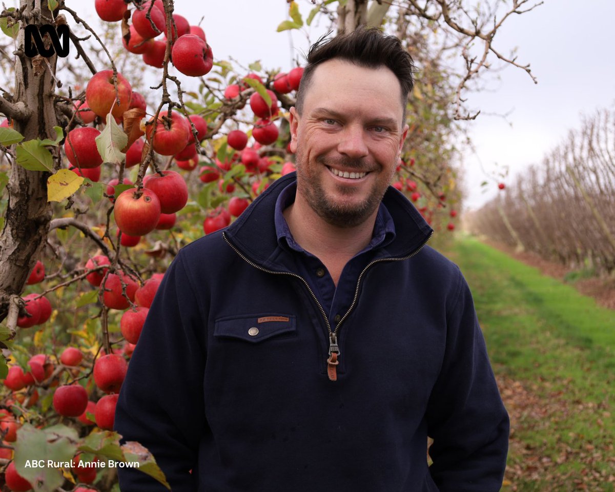 Victorian fruit grower Mitchell McNab has been named 2023 Young Farmer of the Year. @McNabMitchell @KondininGroup @FruitGrowersVic @Hort_Au