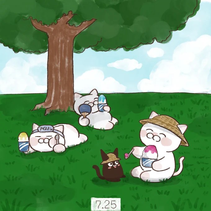 7月25日  【最高気温記念日】 1933年7月25日に、山形県山形市で最高気温40.8度を記録したことに由来します。  【かき氷の日】 かき氷のかつての名称「夏氷」から、7月25日の「725→ナツゴ」と読めることと、この日が最高気温記念日であることから制定されました。