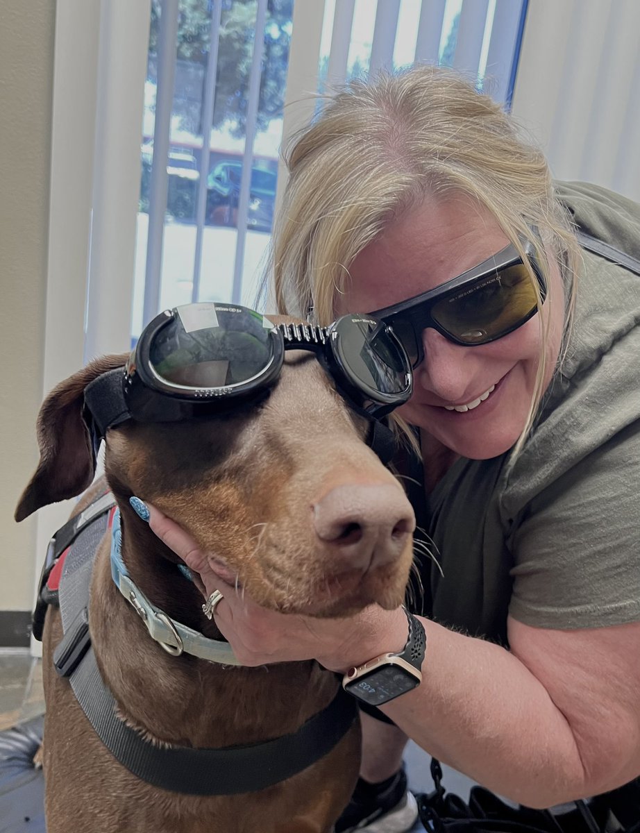 I wear my sunglasses at night…JK, I wear them when Rosie gets her laser treatments.#TPLO #Foothillfarmsvet