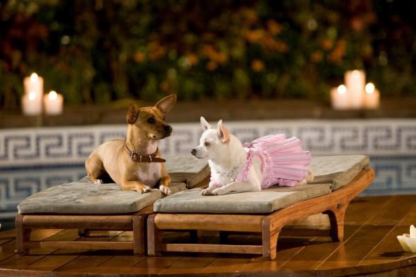 mmaiagarcia's tweet photo. tantas parejas y yo solo quiere ser esta https://t.co/mAE4tMUWBY