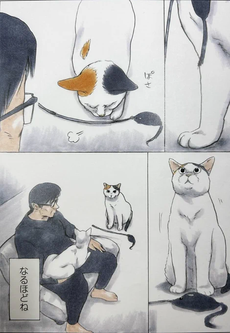 『拾い猫のモチャ7』より