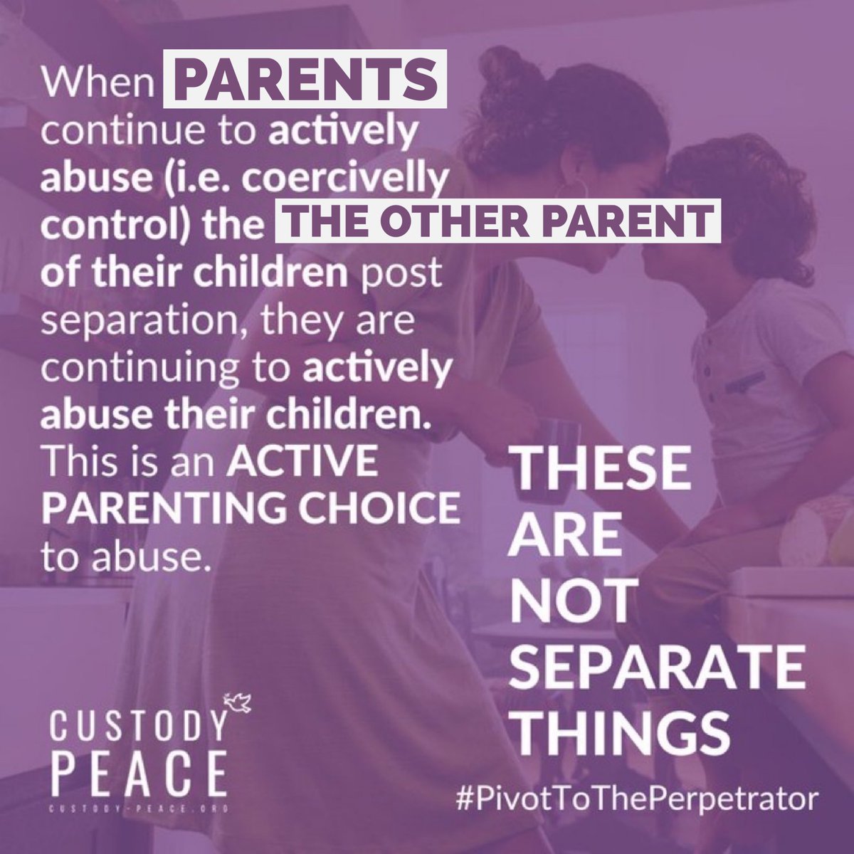 @custodypeace
'Most anything the perpetrator does to the adult victim-survivor will be directly harming the child victims-survivors too, and the perpetrator is the one responsible for those harms to the children.' - @DrEmmaKatz #CoerciveControl #PivotToThePerpetrator