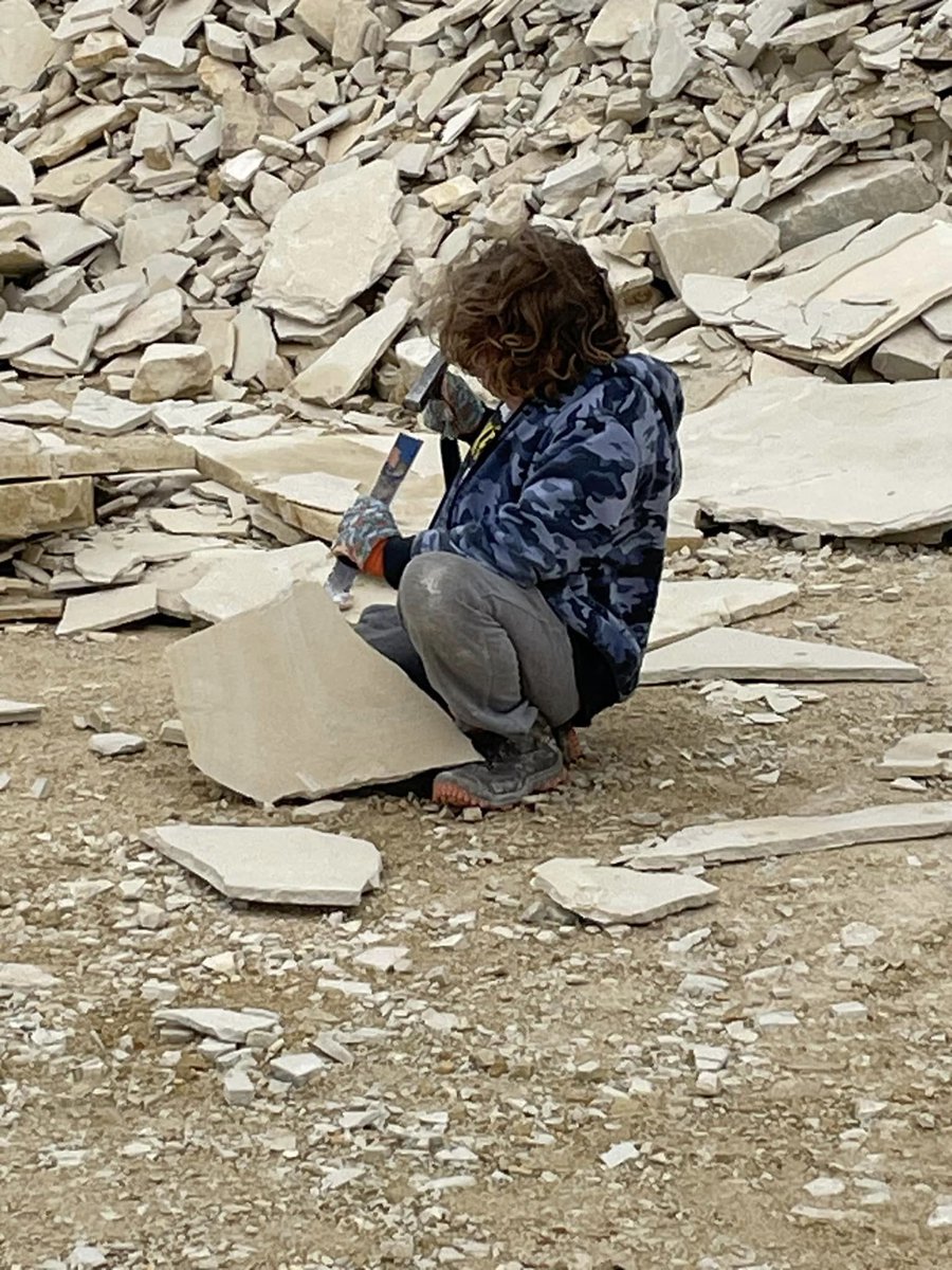 DrCathyNMC's tweet photo. Guess what?!?  We went on a #FossilSafari in Kemmerer, WY.  Clay's dreams came true - he found fossilized fish.  More 'rocks' for his collection LOL.  #Makingdreamscometrue #FrontierAirlinesAllYouCanFlyPass #Makingmemories #Experiencesnotthings #warnersgonewild https://t.co/bOb48L7CHf