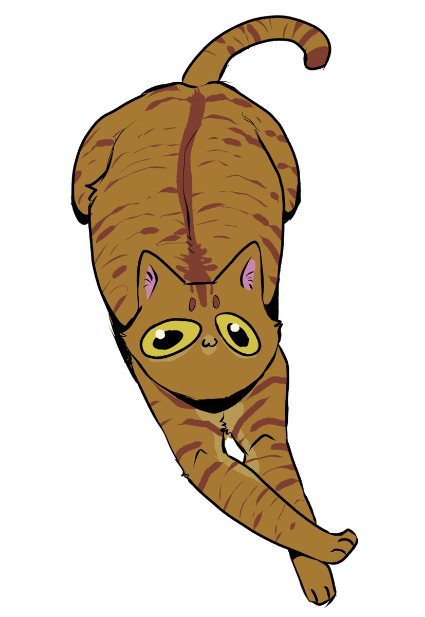 JamesAlesto's tweet photo. recent cat doodles! https://t.co/RLPaBPfjfF