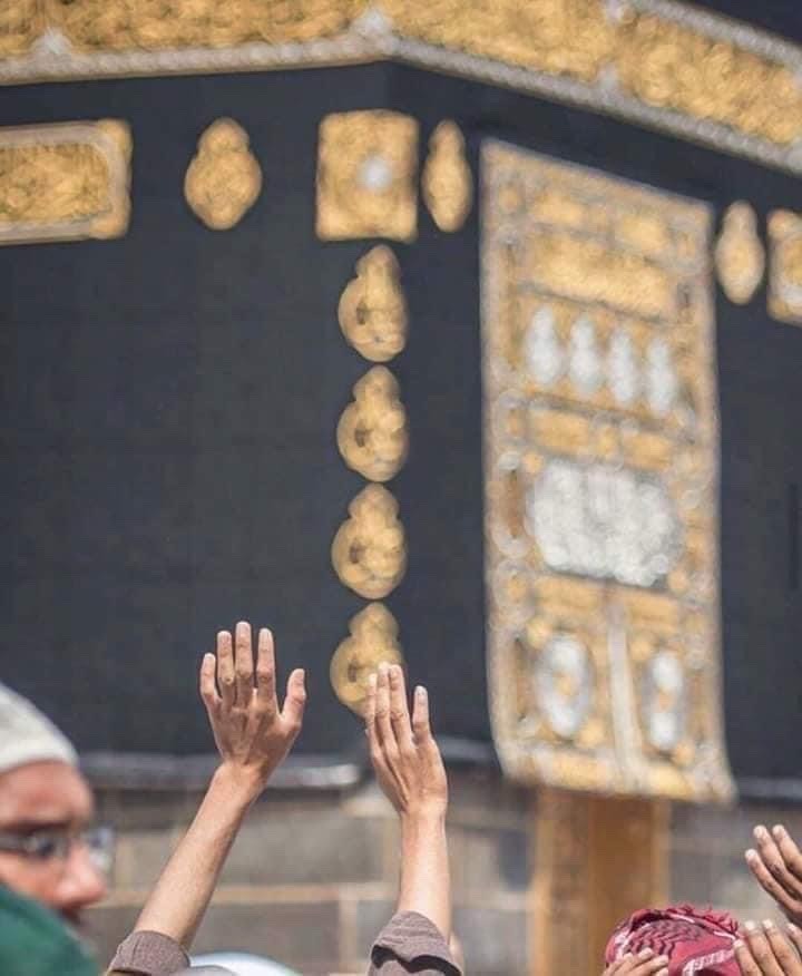 4txtu's tweet photo. #دعاء

"لَبيك إنّنا مُتعبون ، اجبُرنا كأننا لم نرى حُزناً🕋 "
هَا أنا يا الله، أُفلت يدي مِن كُل تفاصيلي ضعفًا وتعبًا، أُرخي يدي مِن الدنيا وما عليها، فلك الأمر كلُّه، أدعوك فلا أكفُّ عَن الدعاء، أنا المحتاج وأنا المشكلة وأنا المسألة وأنا العدم، وأنتَ الوجود. https://t.co/WlUfHYGZ4N
