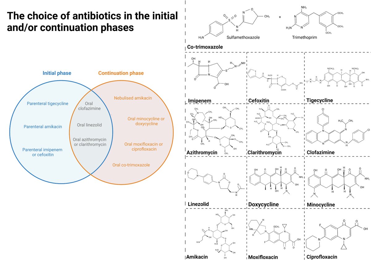 Journal_IMD's tweet photo. In a recently published review in IMD, Jonathan Cox and his colleagues introduce the current therapeutic options for Mycobacterium abscessus, and also compile the current updates within drug repurposing for M. abscessus.
https://t.co/5ZxMHBJzwv https://t.co/HHDP7ttewV