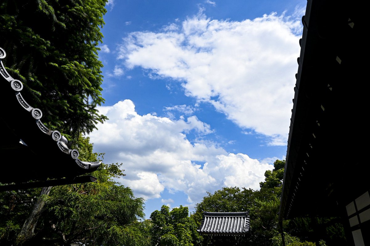 夏の足音

⁡#NikonZfc #photography #Nikonphoto #portrait #landscape  #Lightroom #photogirl  #関西 #雰囲気嫌いじゃないよって人いいね #写真撮ってる人と繋がりたい #写真好きな人と繋がりたい #レンズ越しの世界  #空  #雲 #キリトリセカイ #東京カメラ部 #tokyocameraclub