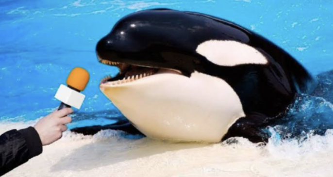 FzCGfTNWAAMYCn4.png